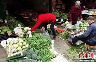 上周食用农产品价格上涨 30种蔬菜均价涨7.8