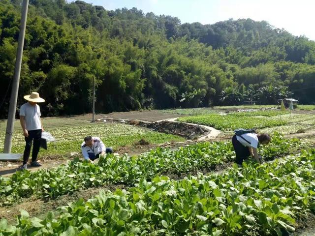 为做好种植业农产品质量安全监督抽查工作,今年梧州市农业综合行政