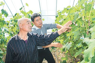 吉林 送技到田