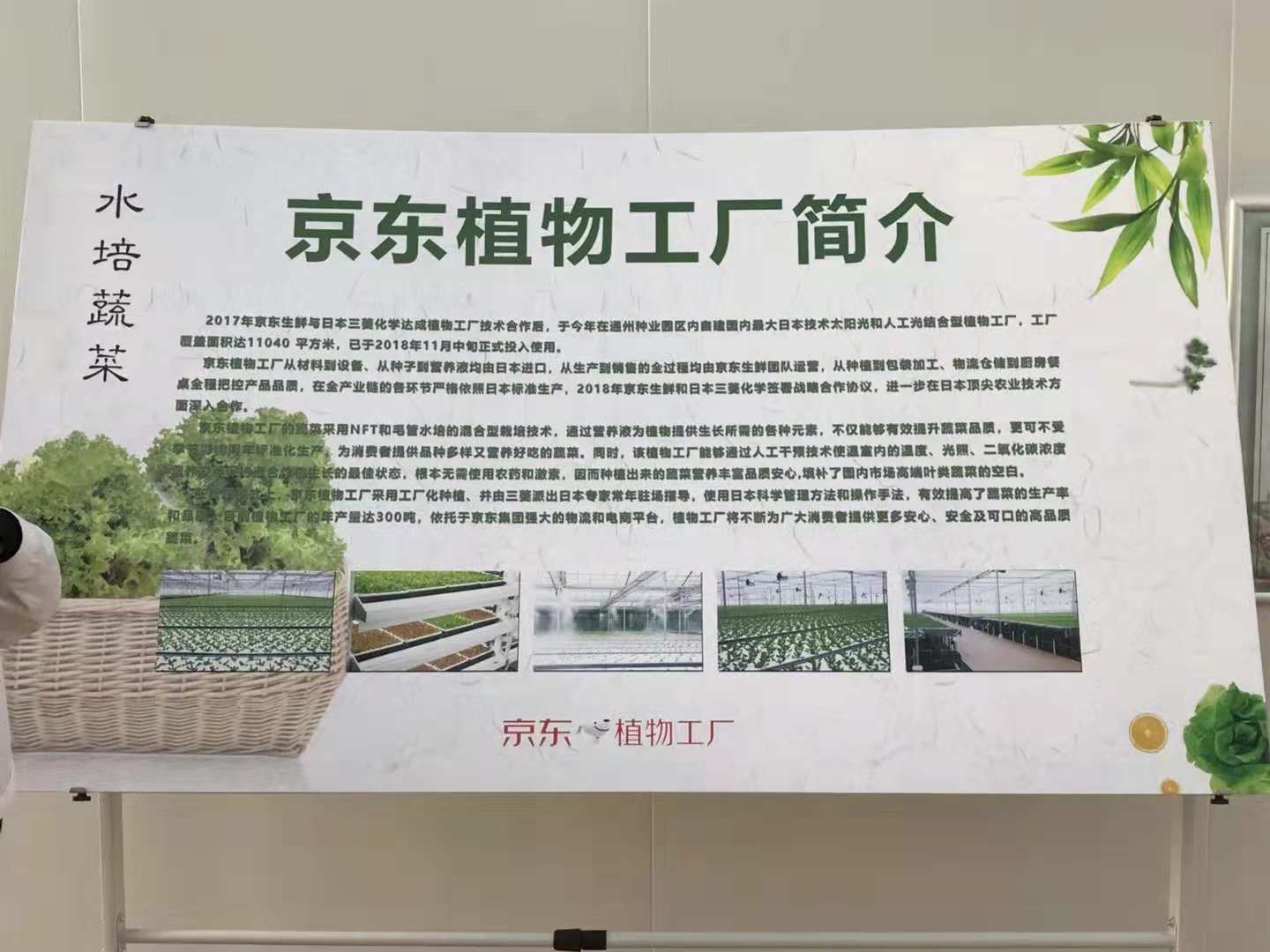 生而领鲜:京东植物工厂亮相通州,助力京东生鲜、7Fresh