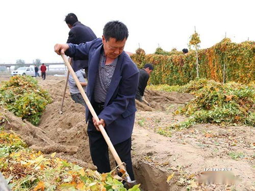 骄傲 蠡县这下出名了 被选为...