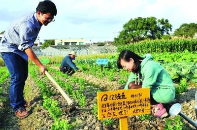 承包不少好土地,做什么可以赚钱?_其它_网